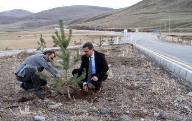 KONAKLI KAYAK MERKEZİ NİN YOLU AĞA&Ccedil;LANDIRILDI 2