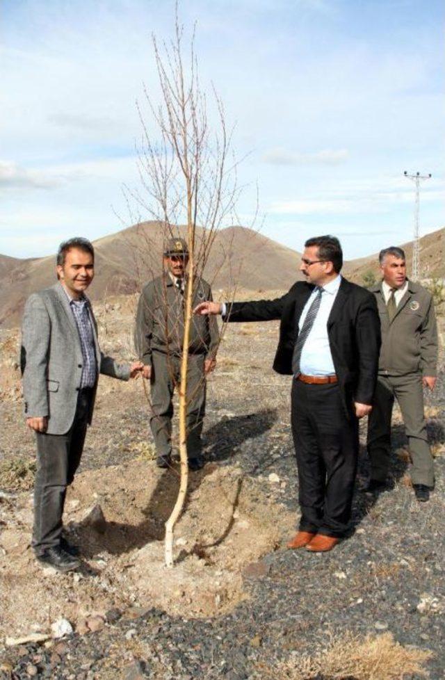 KONAKLI KAYAK MERKEZİ NİN YOLU AĞA&Ccedil;LANDIRILDI 3