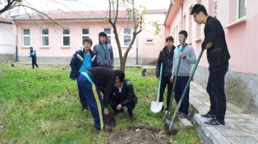 "benim De Bir Dikili Ağacım Var"