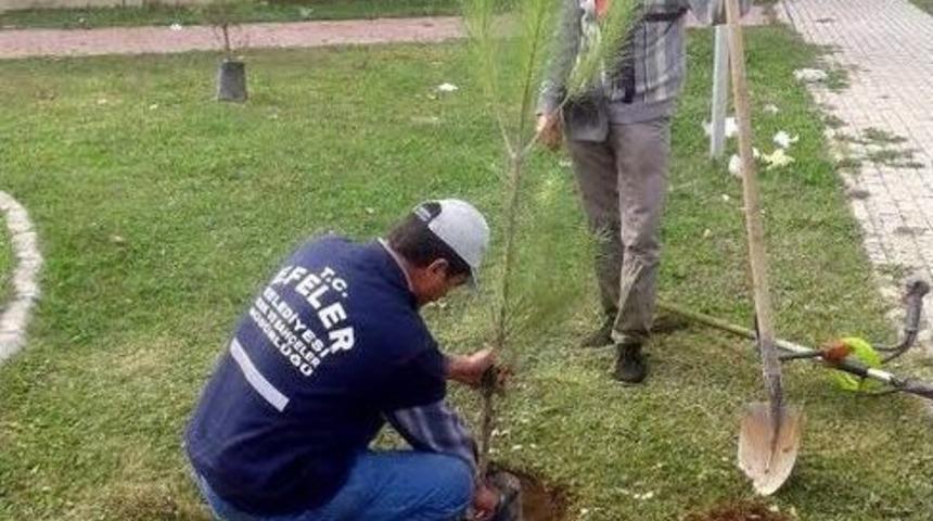 Efeler&rsquo;de &lsquo;her Yeni Doğan &Ccedil;ocuğa, Bir Ağa&ccedil;&rsquo; Projesi Hayata Ge&ccedil;irildi