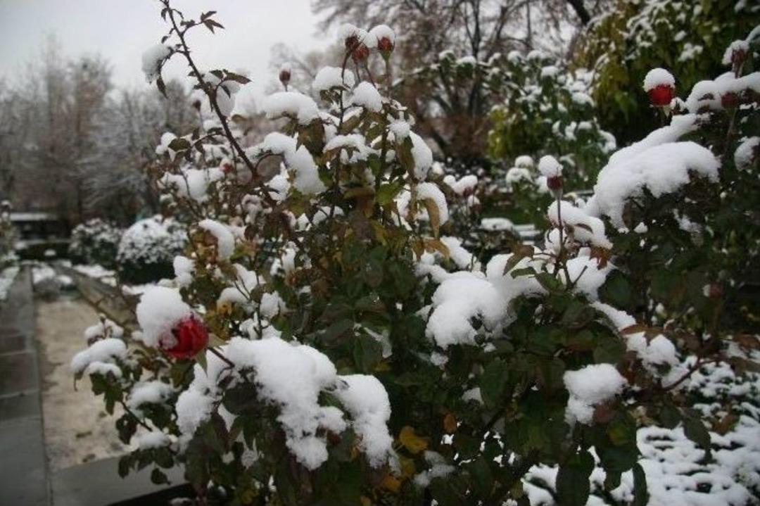 Afyonkarahisar&rsquo;a Yılın İlk Karı Yağdı