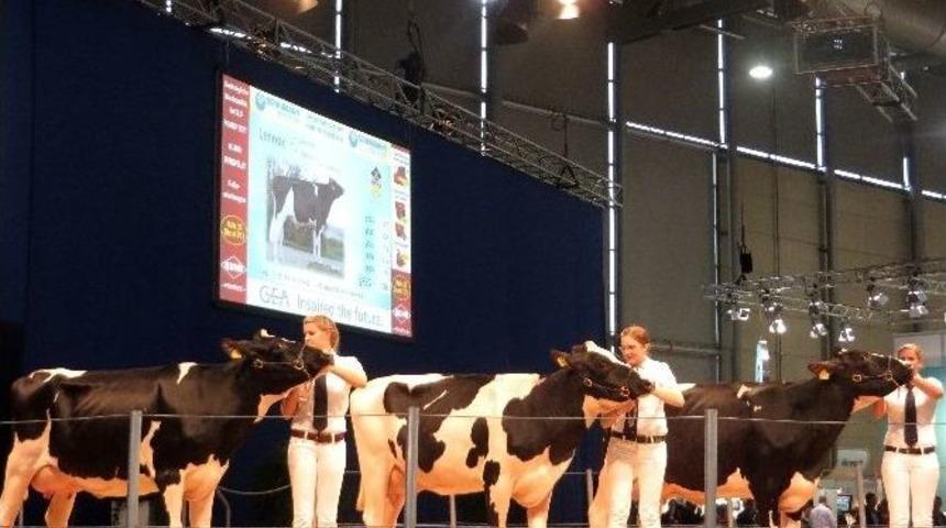 Fuarda İlk Kez Canlı Hayvan Hol&uuml; Olacak