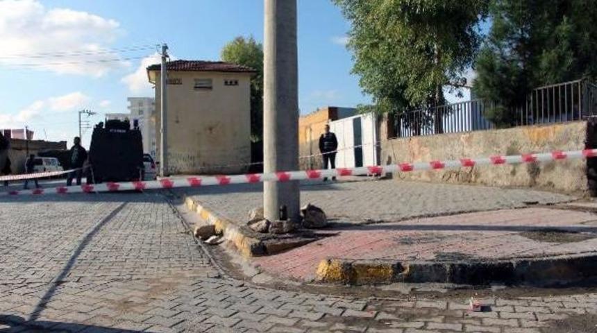 NUSAYBİN'DE &Ccedil;OCUKLARIN OKUL &Ouml;N&Uuml;NE BIRAKTIĞI MAYIN HEYECAN YARATTI