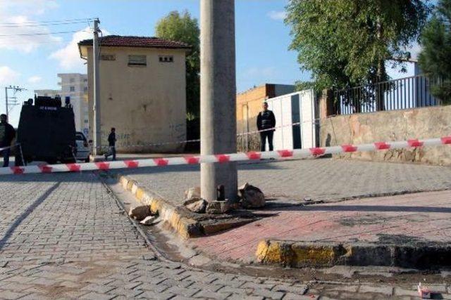 NUSAYBİN DE &Ccedil;OCUKLARIN OKUL &Ouml;N&Uuml;NE BIRAKTIĞI MAYIN HEYECAN YARATTI 1