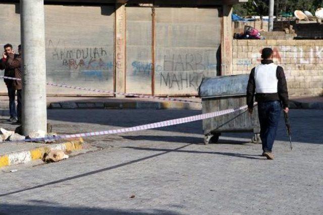NUSAYBİN DE &Ccedil;OCUKLARIN OKUL &Ouml;N&Uuml;NE BIRAKTIĞI MAYIN HEYECAN YARATTI 2
