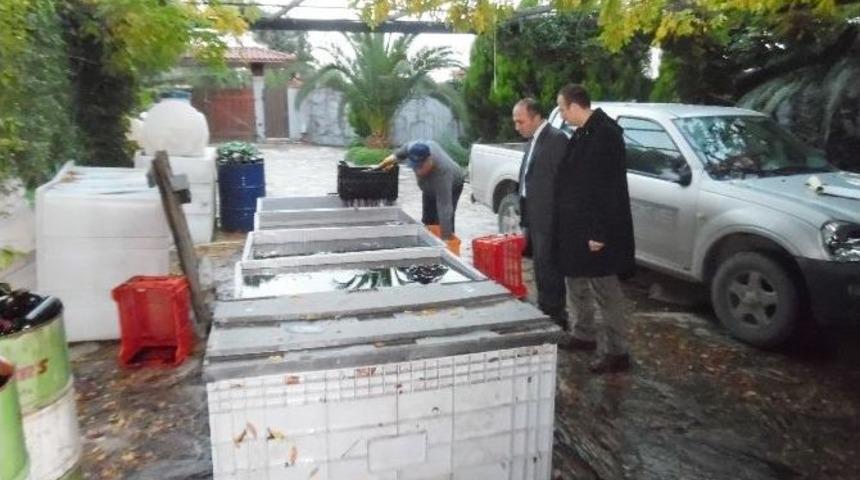 Darıca&rsquo;da 12 Bin Şişe Ka&ccedil;ak Şarap İmha Edildi