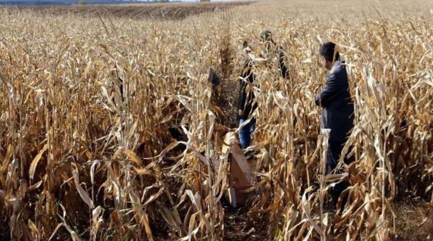 MISIR TARLASINDA YAKILMIŞ İKİ ERKEK CESEDİ BULUNDU (2)