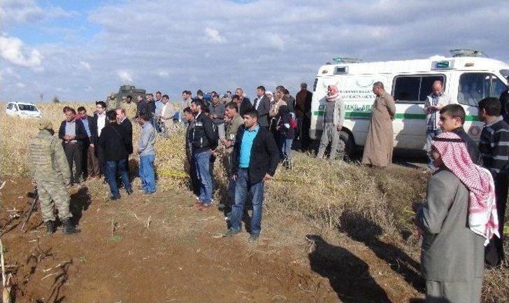 Mısır Tarlasında İki Yanmış Ceset Bulundu G1