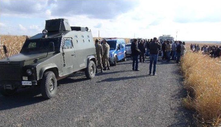 Mısır Tarlasında İki Yanmış Ceset Bulundu G2