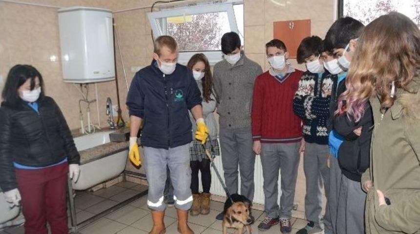 Geleceğin Veteriner Adayları Barınağı Gezdi