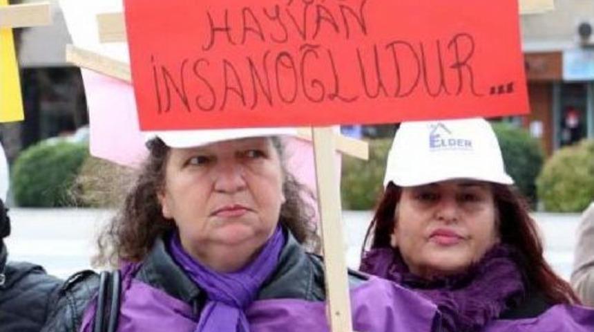 &Ccedil;ANAKKALELİ KADINLAR ŞİDDETE KARŞI Y&Uuml;R&Uuml;D&Uuml;