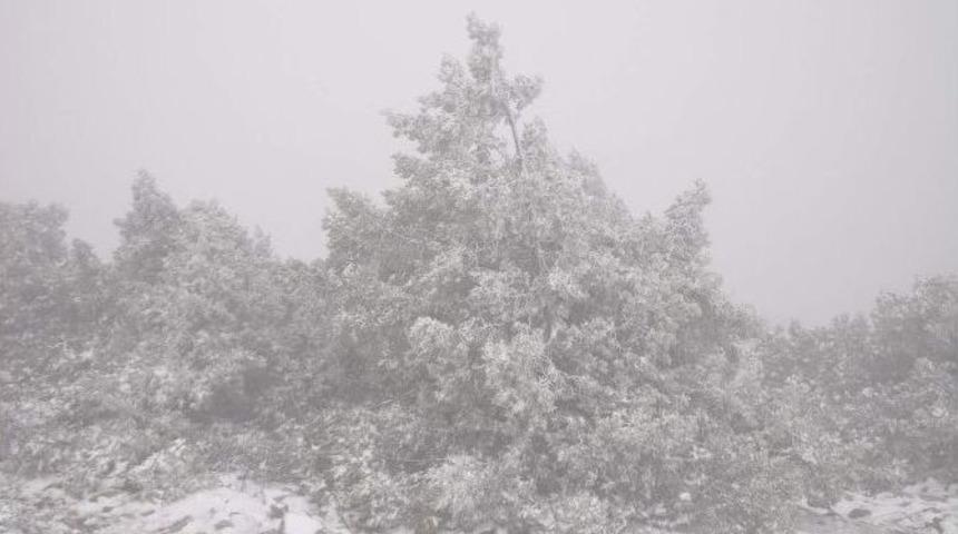Manisa Spil Dağı Beyaz &Ouml;rt&uuml;ye B&uuml;r&uuml;nd&uuml;