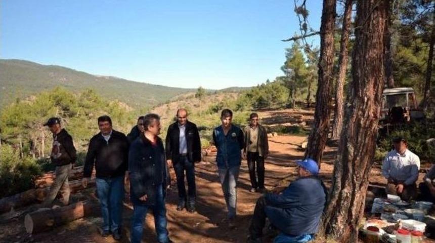 Kızıl&ccedil;am Ormanlarını İnceledi