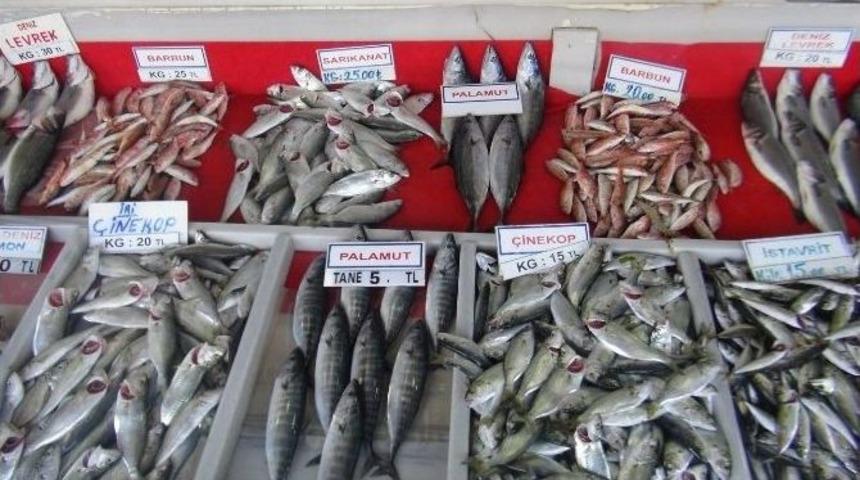 Havalar Soğudu, Tekirdağ&rsquo;da Balık Fiyatları Arttı