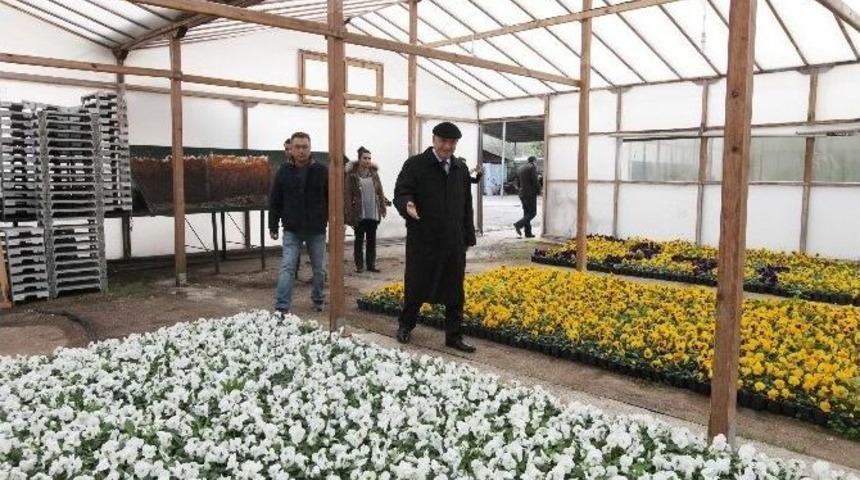 Yenimahalle Belediyesi&rsquo;nden Parklara Kış Bakımı