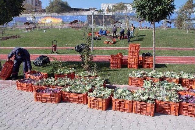 Yenimahalle Belediyesi’nden Parklara Kış Bakımı