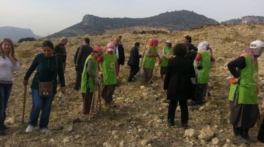 Mersin&rsquo;de Gard Ormanı Oluşturuldu