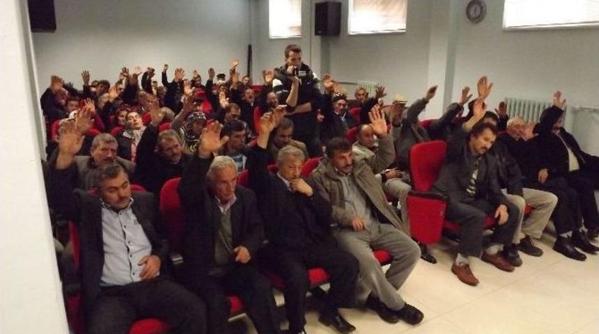 Fındık Üreticilerinin Yüzünü, Manda Yetiştiriciliği Güldürdü