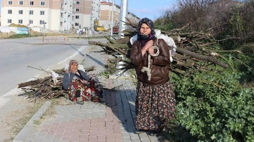 Her Şey Isınmanın Hayali İ&ccedil;in