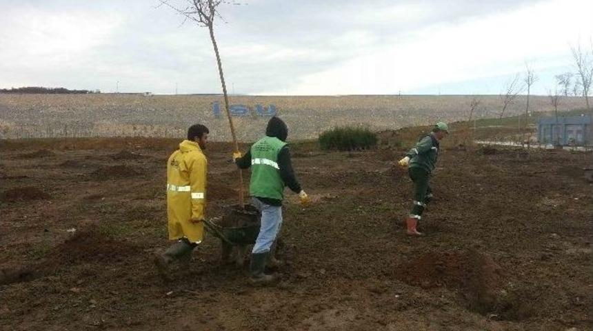 Namazgah Barajı &Ccedil;evresi Yeşilleniyor