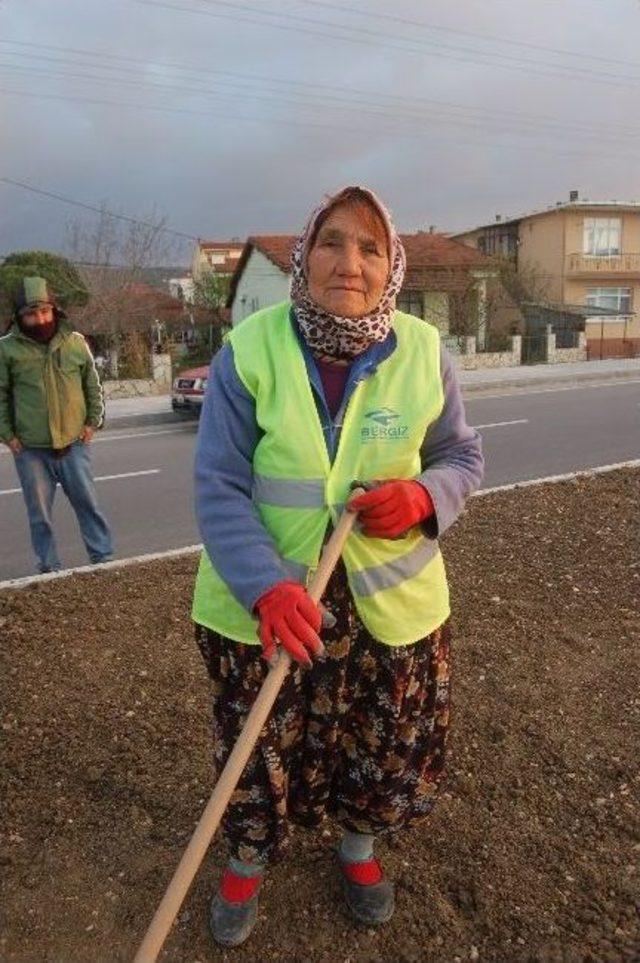75 Yaşındaki Kadın Yol Düzenlemesinde Çalışıyor