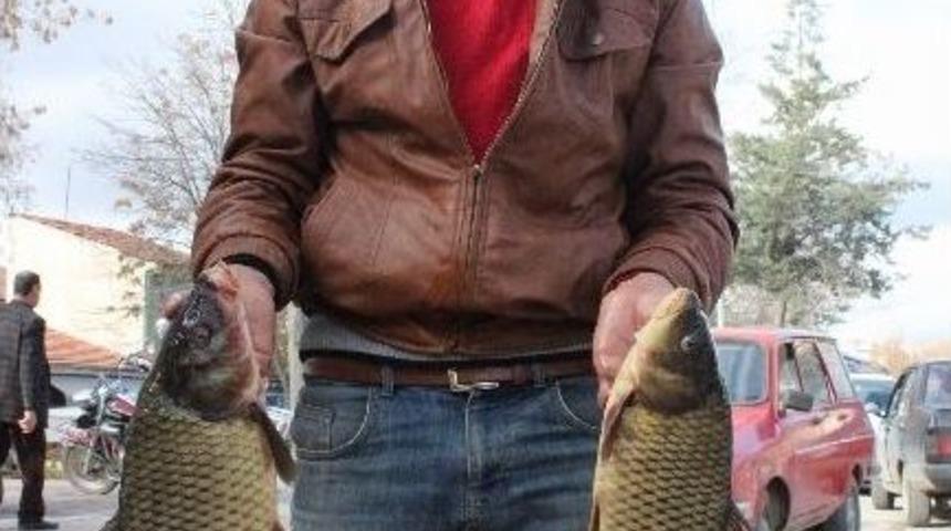 Kırşehir&rsquo;de Balık Bereketi