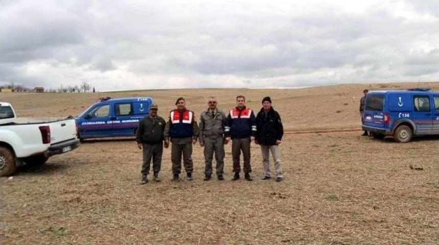 D&uuml;den G&ouml;l&uuml;&rsquo;nde Ka&ccedil;ak Av Denetimi