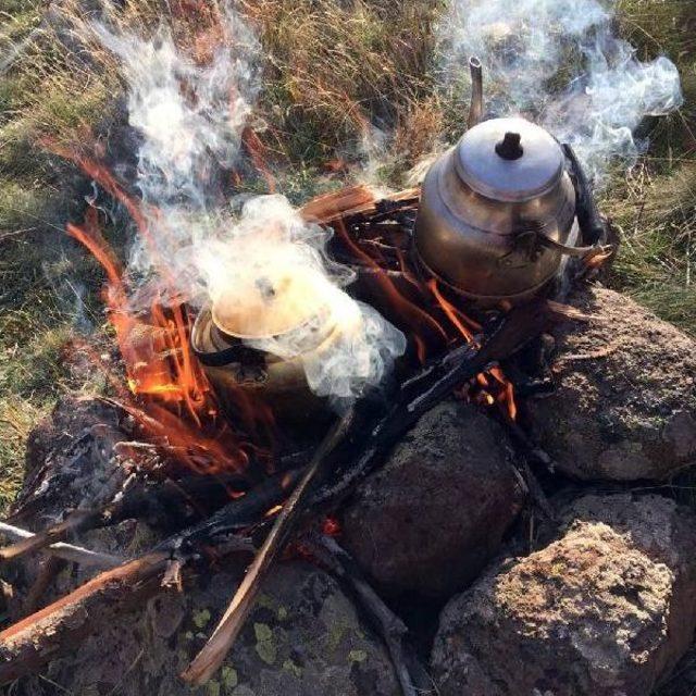 Doğadan gelen şifa kuşburnuna dağcı ilgisi 2