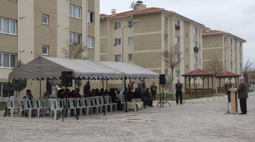 &Ccedil;orum&rsquo;da 301 Maden Şehidinin Anısına Fidan Dikildi