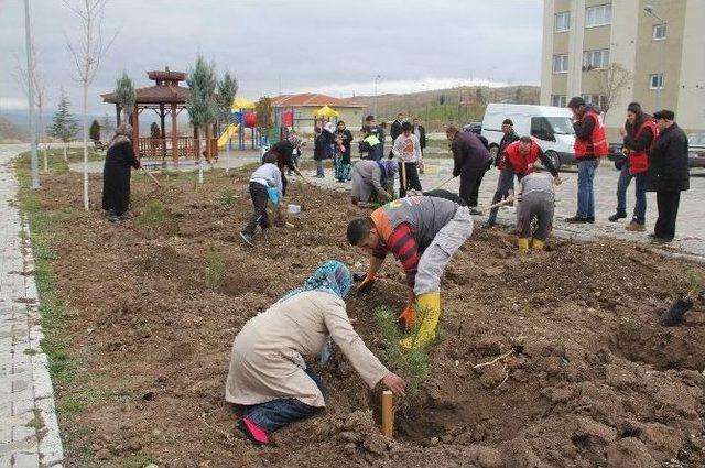 &Ccedil;orum&rsquo;da 301 Maden Şehidinin Anısına Fidan Dikildi 1