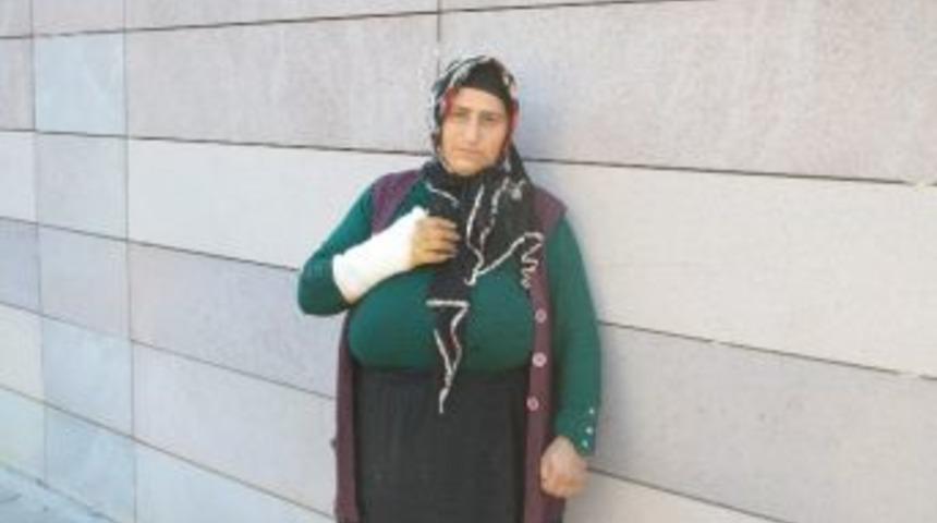 K&ouml;pek Tarafından Isırılan Kadın Hastanelik Oldu