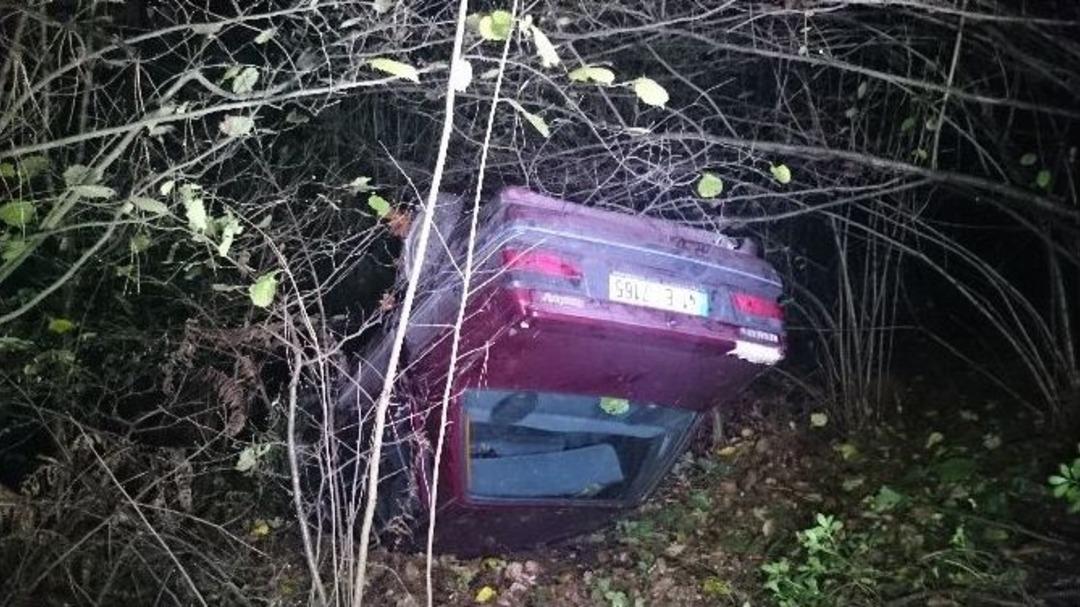 Otomobil Ormanlık Alana U&ccedil;tu: 3 Yaralı