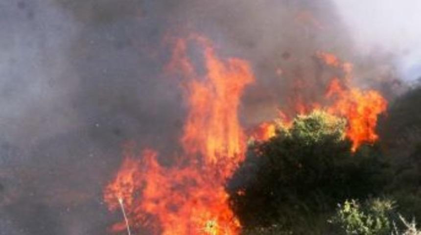 Aydın, En Fazla Yangın &Ccedil;ıkan 14&rsquo;&uuml;nc&uuml; İl Oldu