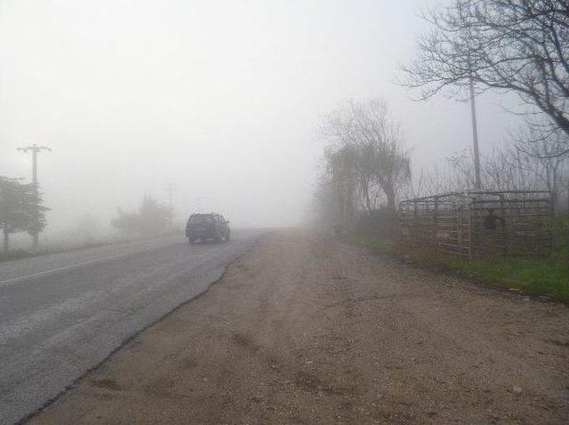 Osmaneli&rsquo;de Sis Etkili Oldu 1