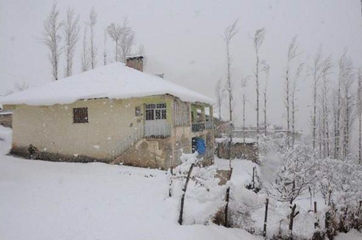 Van ve hakkari'de kar yolları kapattı