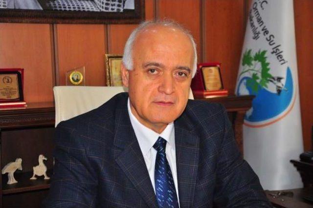 Sayıları artan yılkı atlarına kısırlaştırma &ouml;nlemi 3