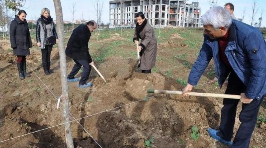 Namık Kemal &Uuml;niversitesi Ağa&ccedil;landırılıyor