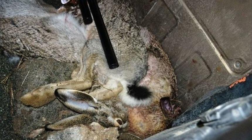 Iğdır&rsquo;da Ka&ccedil;ak Avcılık Operasyonu