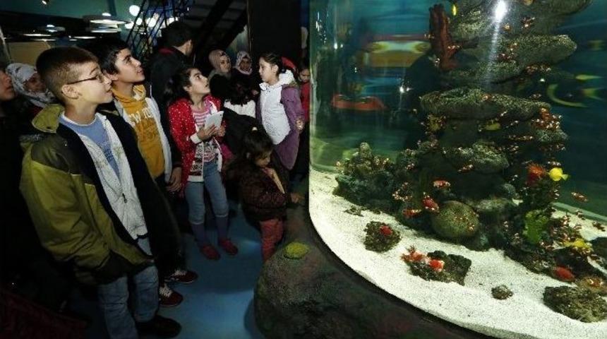 Engelli &Ouml;ğrencilerin Akvaryum Heyecanı