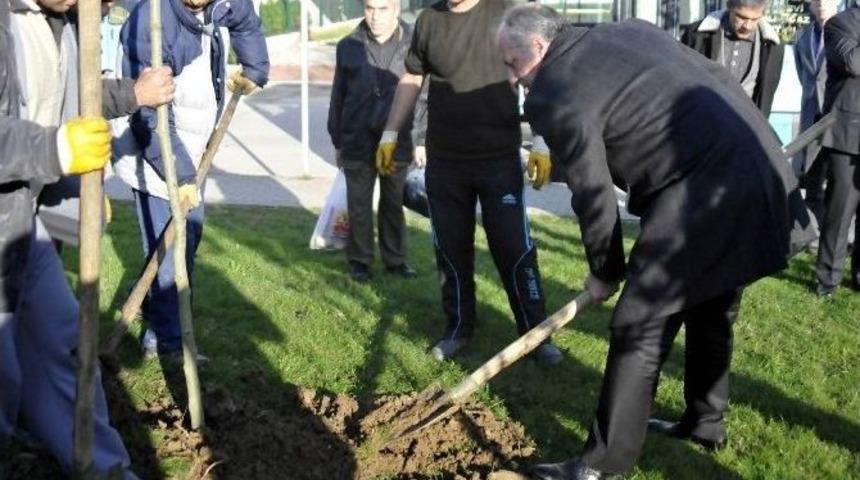 İnce: "b&uuml;t&uuml;n İnsanlıktan &Ouml;z&uuml;r Diliyorum"