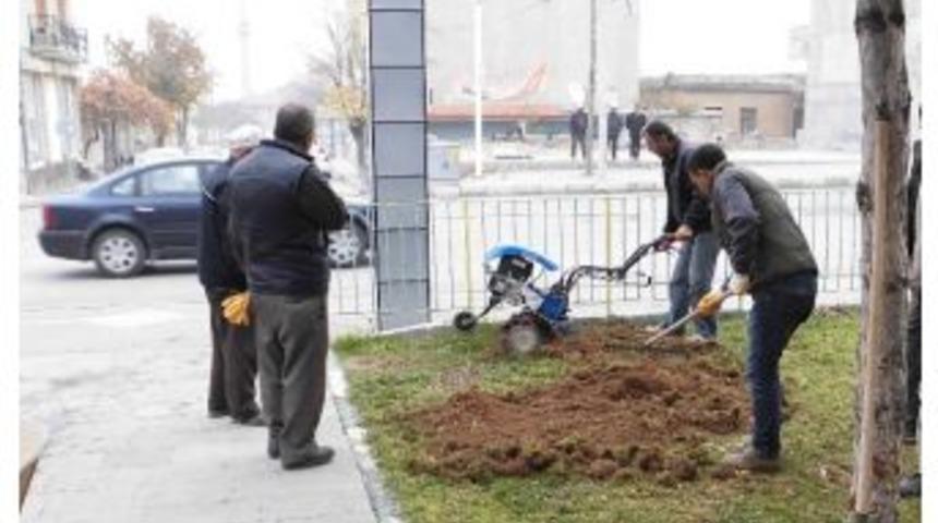 Cihanbeyli Rengarenk Olacak