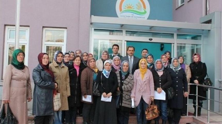 Kadın &Ccedil;ift&ccedil;ilere Y&ouml;nelik Kurslar Devam Ediyor