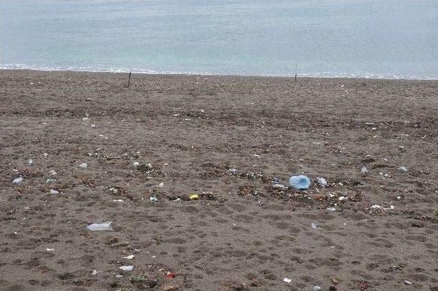 Ak&ccedil;akoca&rsquo;da Kumsallar Yine &Ccedil;&ouml;pl&uuml;ğe D&ouml;nd&uuml; 1