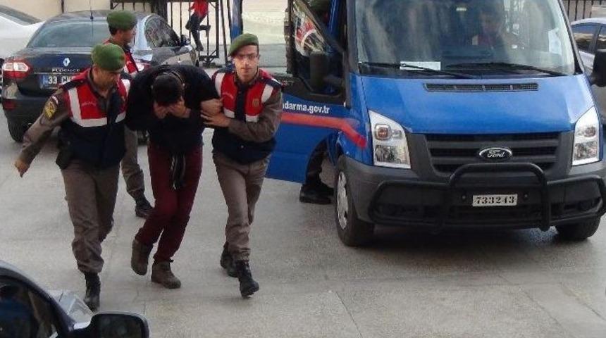 Hırsızları &Ccedil;aldıkları Hayvanların Pisliği Yakalattı