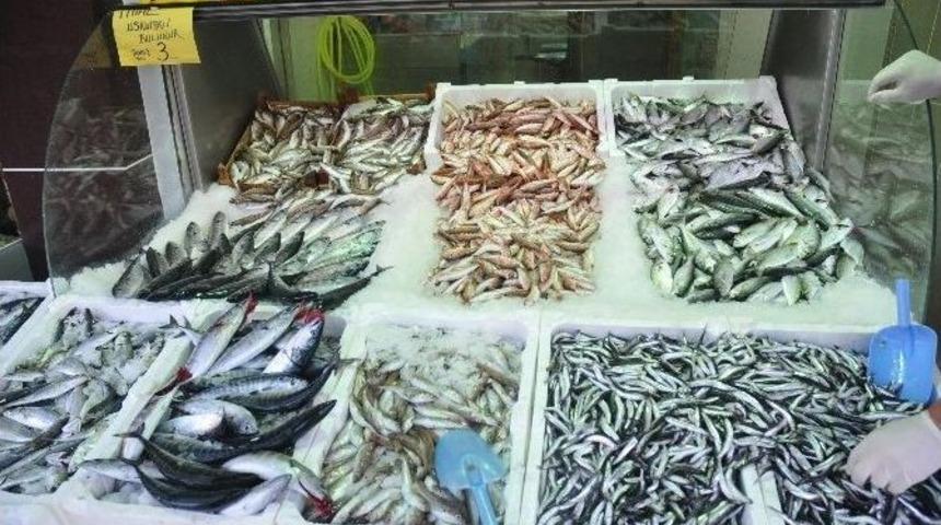 Karadeniz&rsquo;de Balık Fiyatları D&uuml;şt&uuml;
