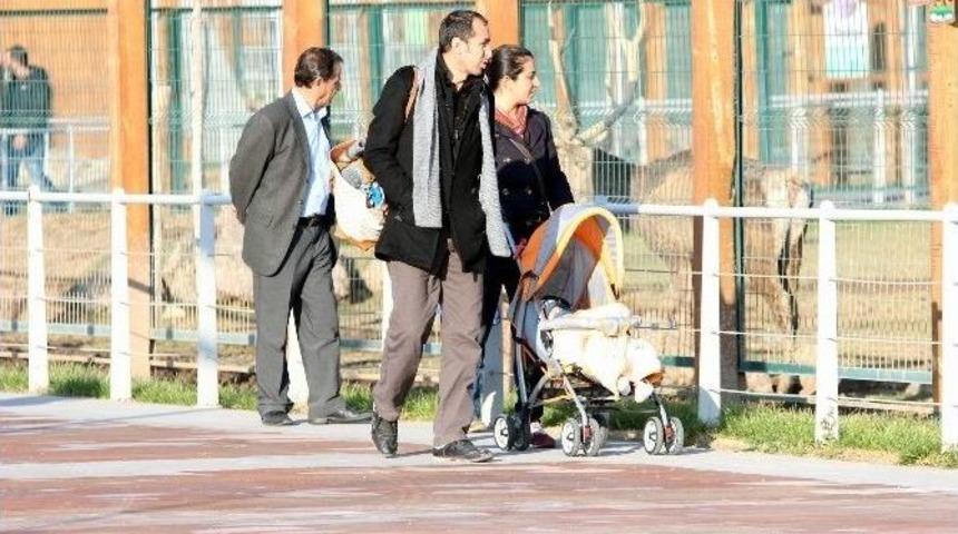 Hayvanat Bah&ccedil;esine Ayda 20 Bin Ziyaret&ccedil;i