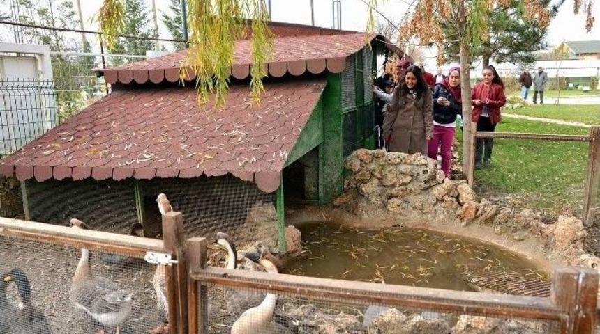 Doğal Yaşam Merkezi Misafirlerini Ağırladı