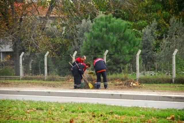 'toprak dede' karaca: ben olsam o ağaçları kesmez, güzergahı değiştirirdim