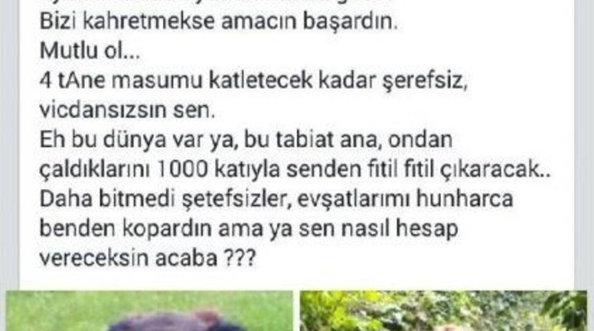 4 k&ouml;peği zehirlenen turizmci hastaneye kaldırıldı (2)