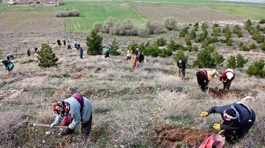 Emirdağ&rsquo;da 5 Fidan Toprakla Buluştu